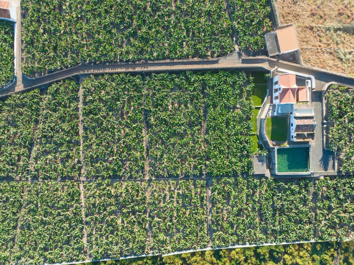 Hacienda Los Orovales Puerto de la Cruz  Bagian luar foto