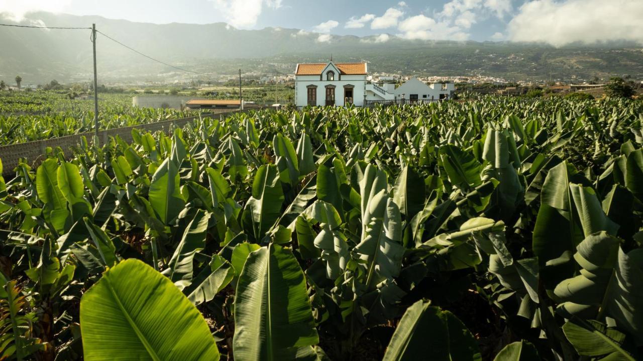 Hacienda Los Orovales Puerto de la Cruz  Bagian luar foto