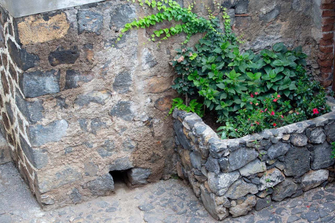 Hacienda Los Orovales Puerto de la Cruz  Bagian luar foto